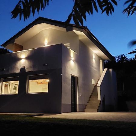 Villa Grajsko Metlika Exterior foto