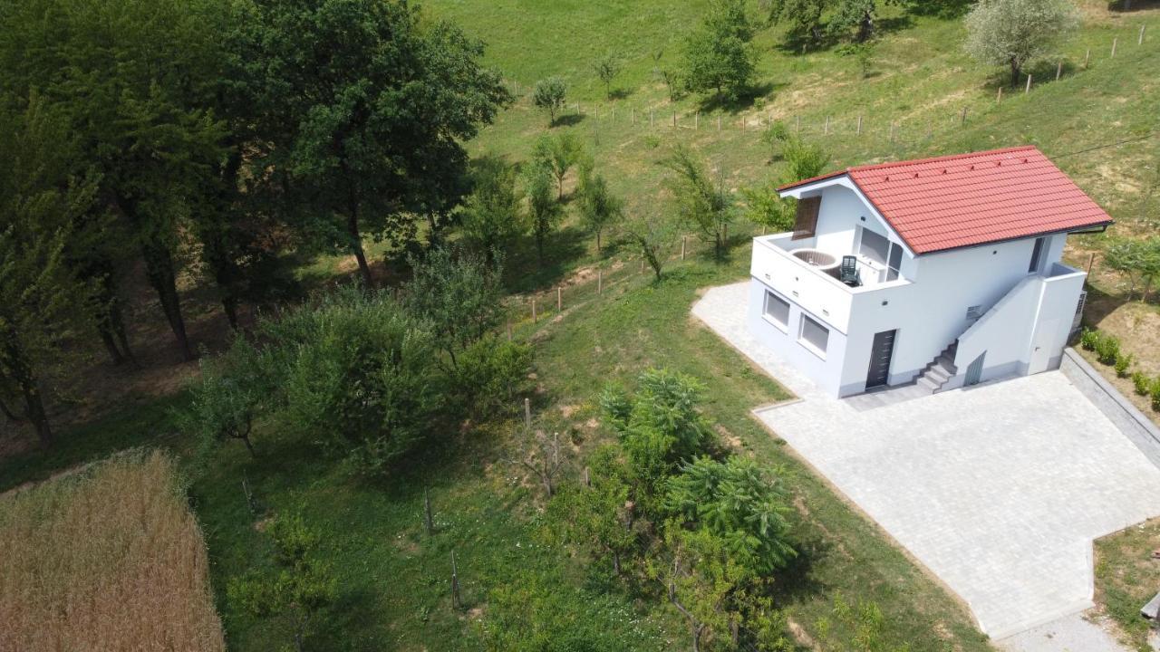 Villa Grajsko Metlika Exterior foto