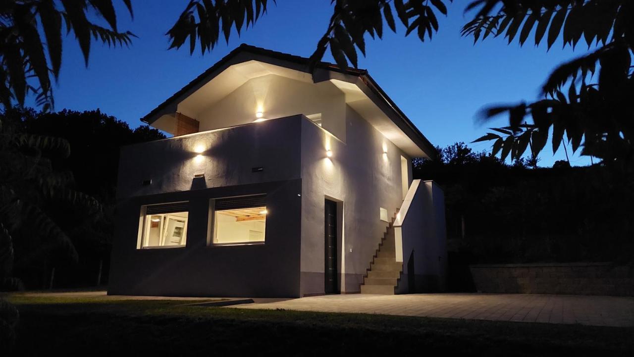 Villa Grajsko Metlika Exterior foto