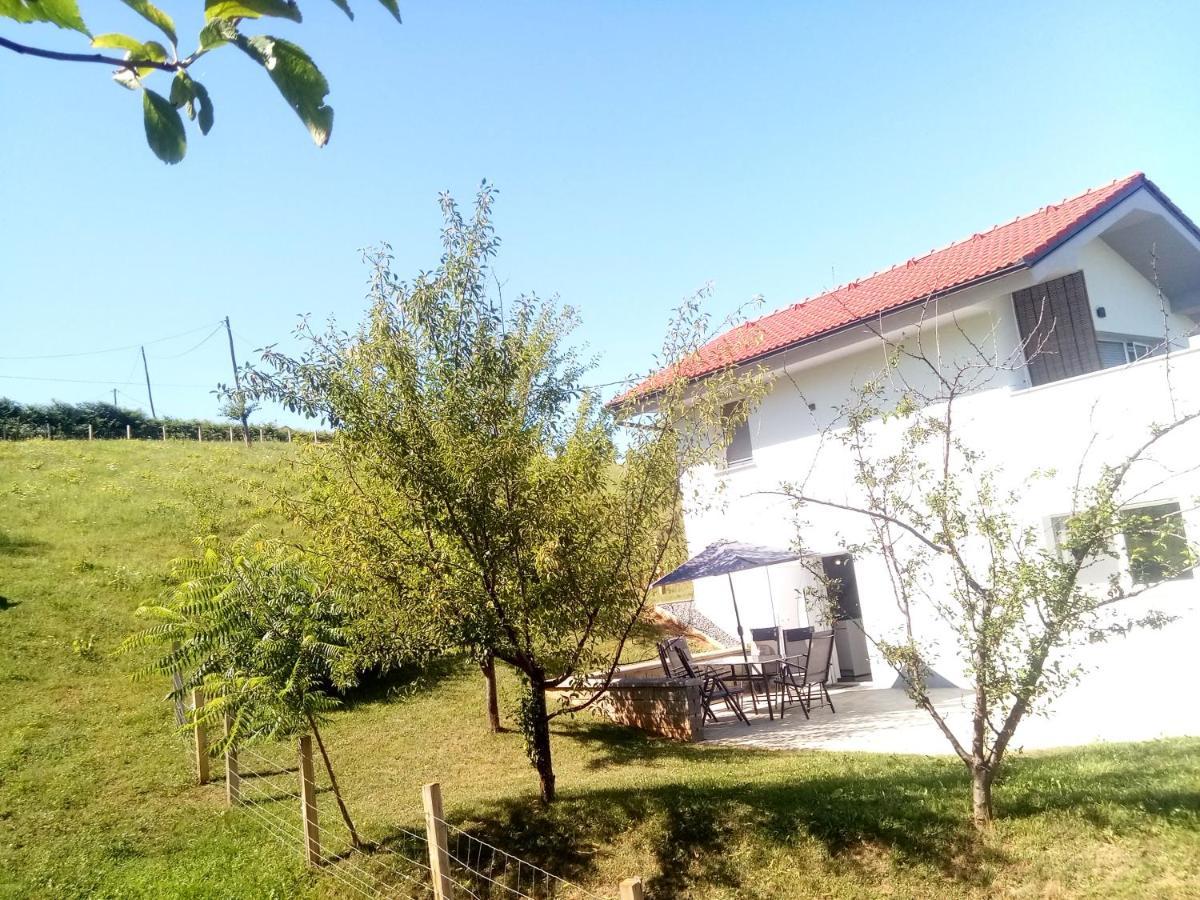Villa Grajsko Metlika Exterior foto